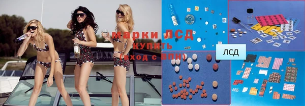 хмурый Алексеевка