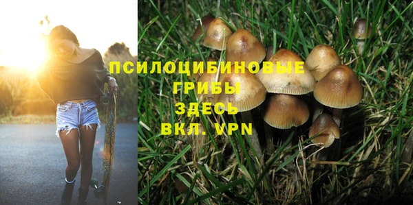 амфетамин Алексин